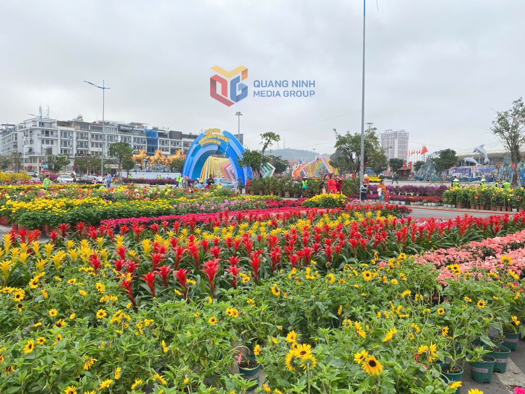 Đại lộ hoa và công nghệ ánh sáng bên vịnh Hạ Long: Không gian trải nghiệm đặc biệt
