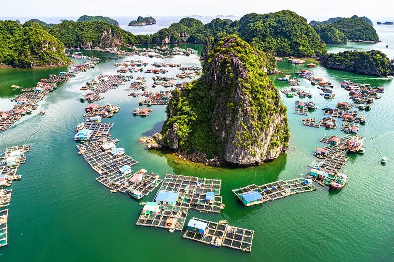 KHỞI ĐỘNG MÙA LỄ HỘI TRONG VÒNG TAY VỊNH BIỂN: HÀNH TRÌNH THÁNG 3 RỰC RỠ